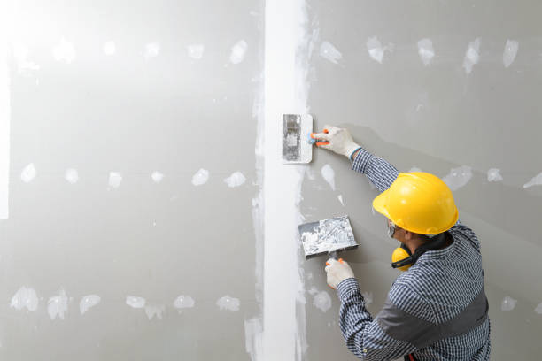Best Biohazard Mold Removal  in Redmond, WA