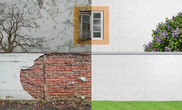Best Industrial Mold Remediation  in Redmond, WA