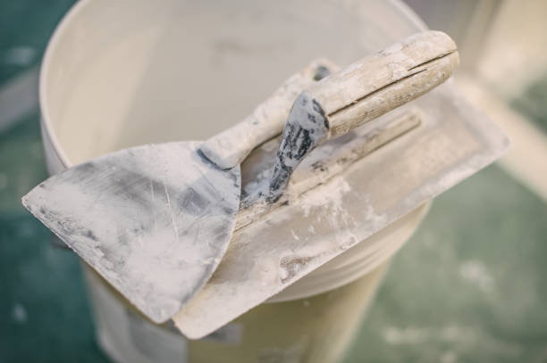 Professional Mold Removal in Redmond, WA